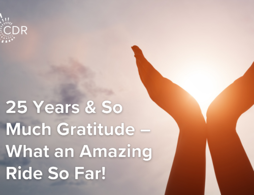 25 Years & So Much Gratitude – What and Amazing Ride So Far!